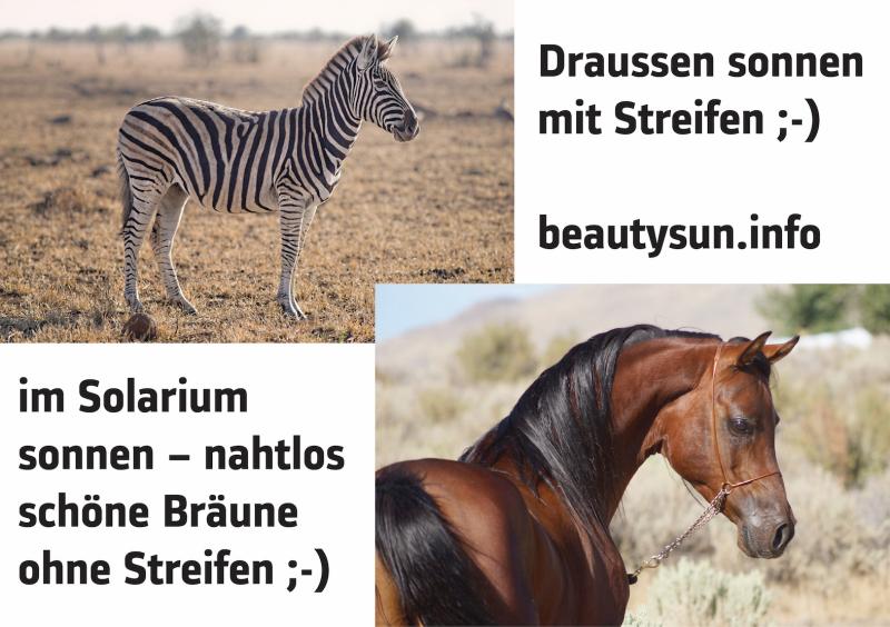 zebra-braun-solarium